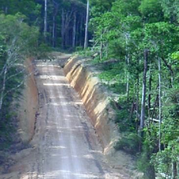 Droughts in the Amazon rainforest can be predicted up to 18 months in advance