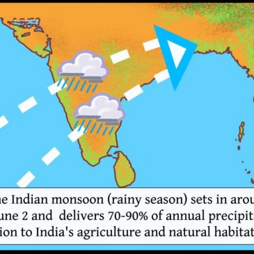 Improved prediction of Indian summer Monsoon onset three months in advance using machine learning