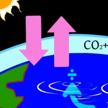 Tipping points complicate the evaluation of complex climate models